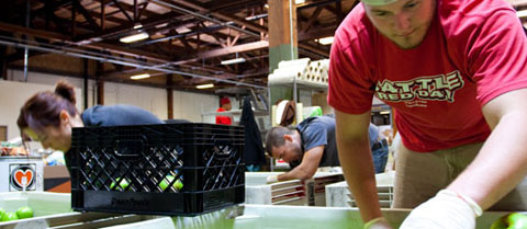 man working in a food pantry